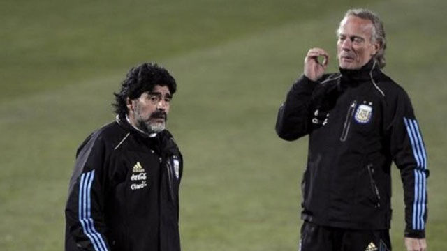 signorini maradona