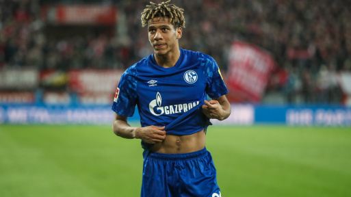 todibo