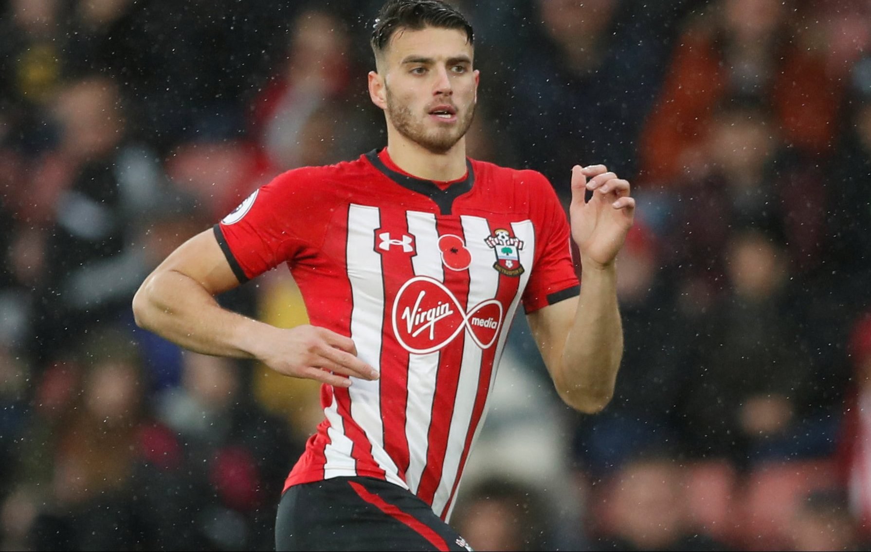 hoedt