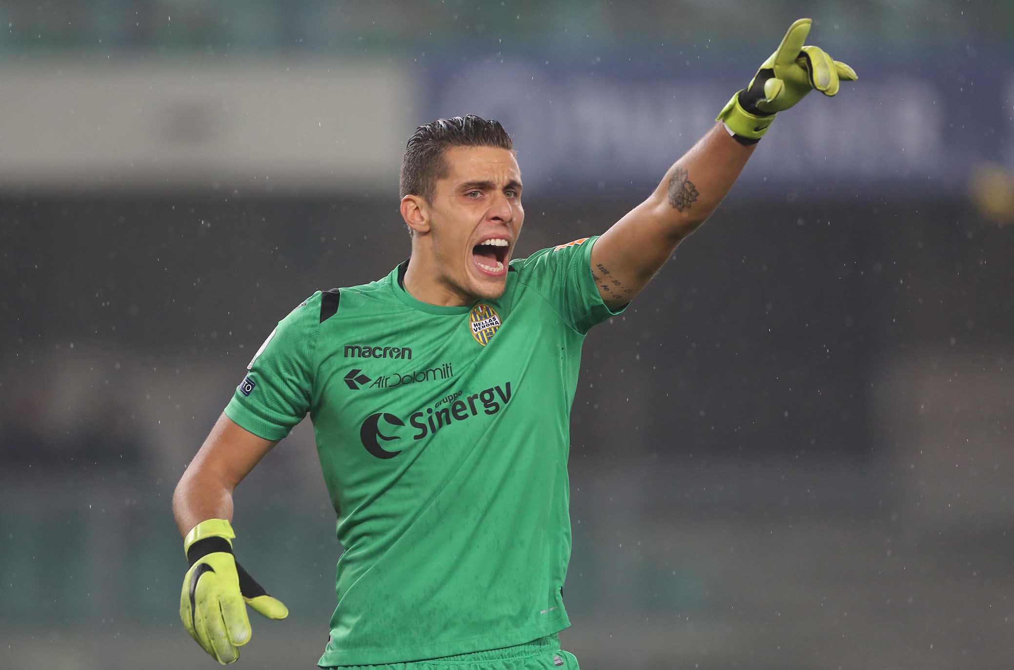 Silvestri