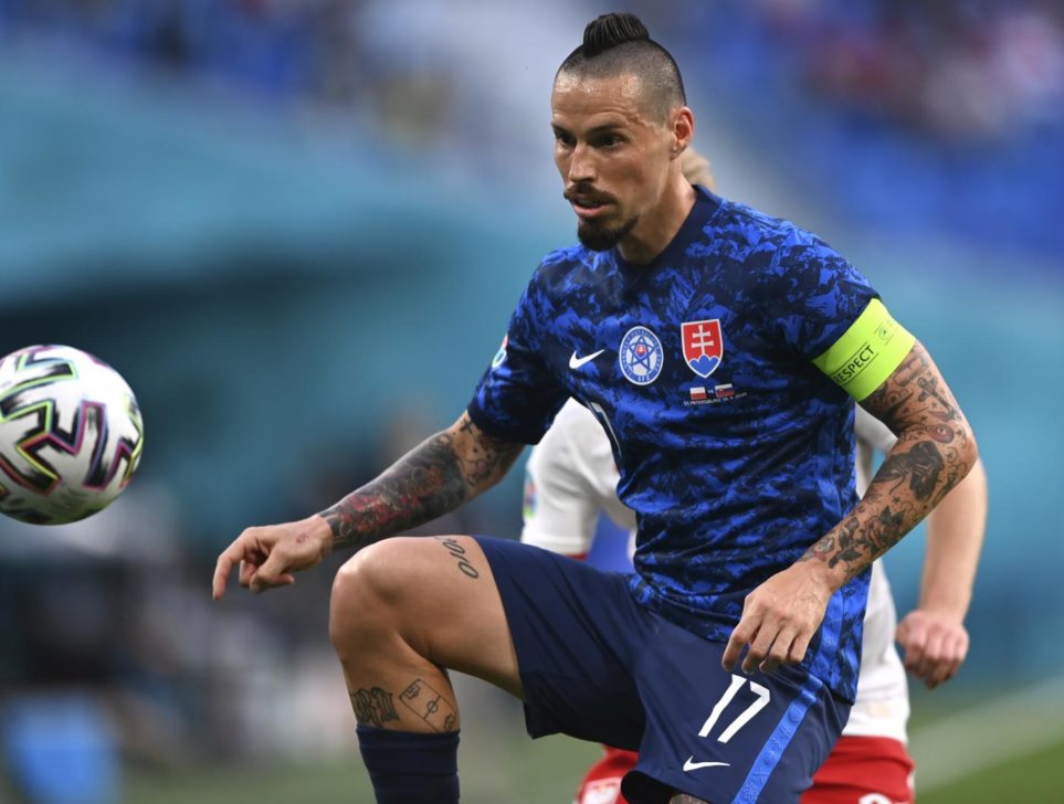 hamsik