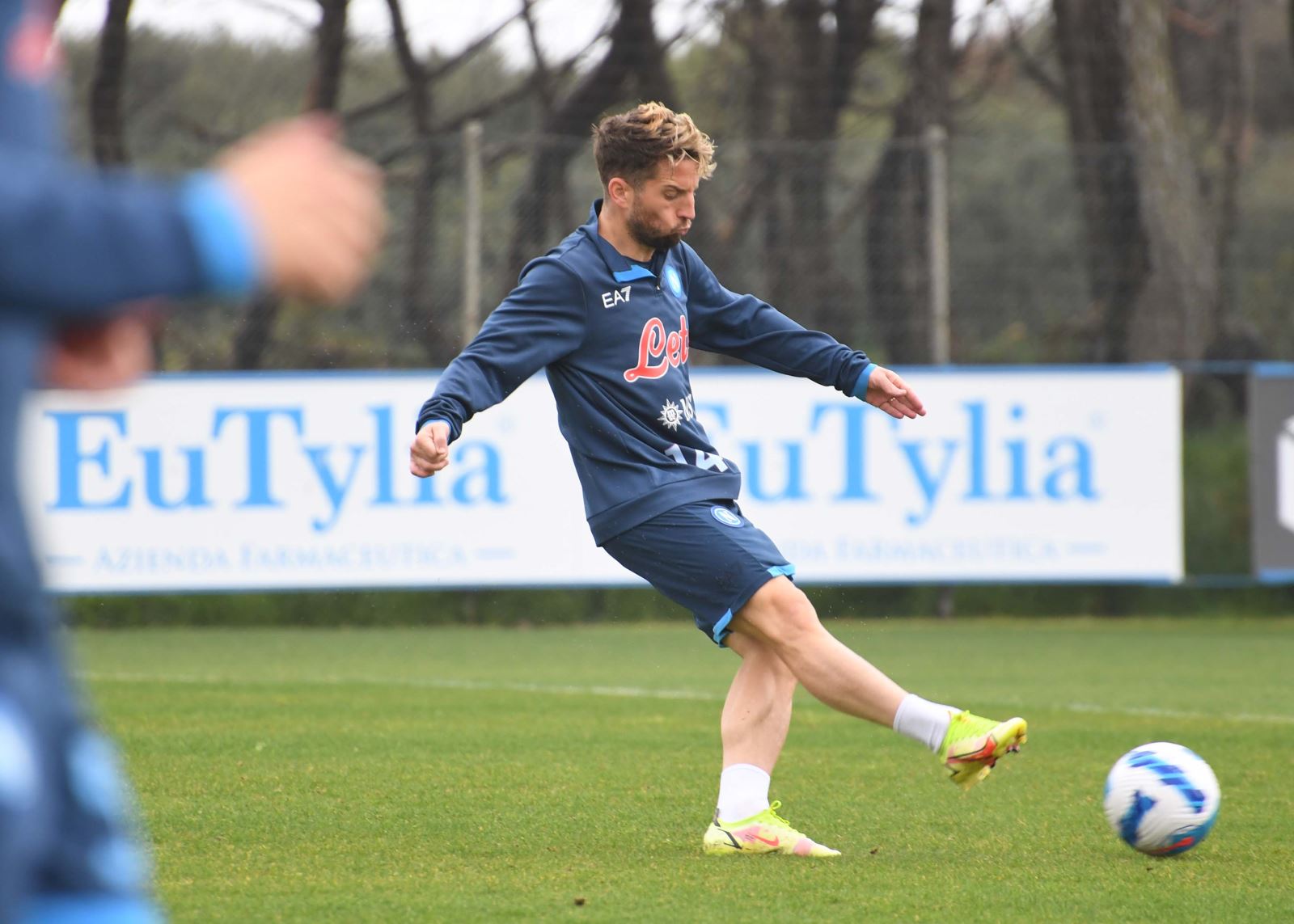 mertens